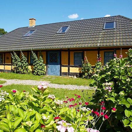 Mollegade 1 Holiday House Nordborg Ngoại thất bức ảnh