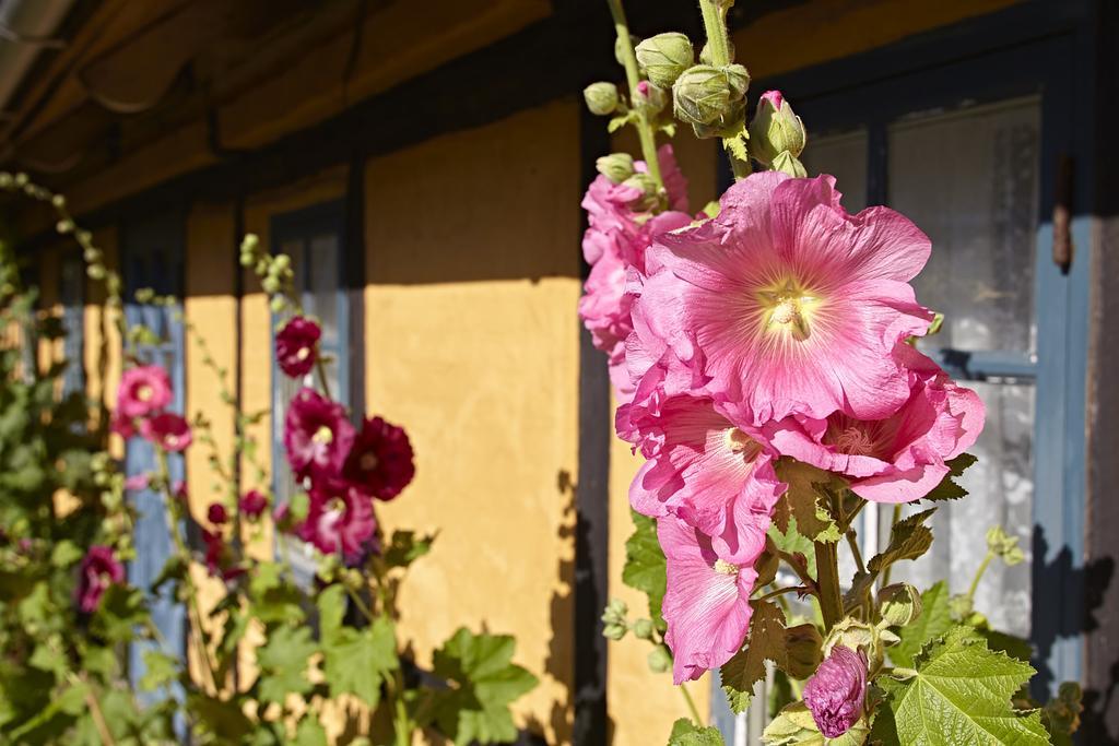 Mollegade 1 Holiday House Nordborg Ngoại thất bức ảnh